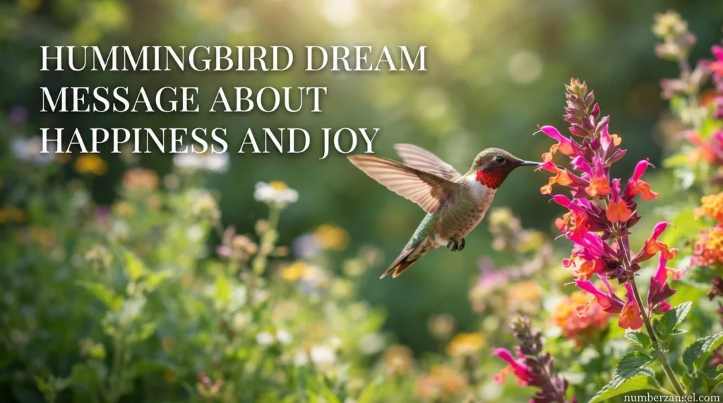 Hummingbird Dream Message About Happiness and Joy